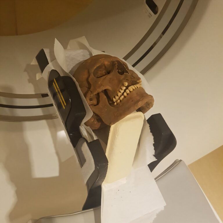 viking-skulls-reveal-s