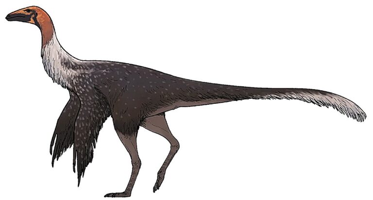 new-genus-and-species