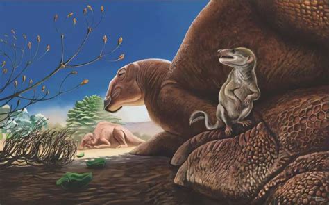 Fossil of a new mammal species from the age of dinosaurs discovered in ...